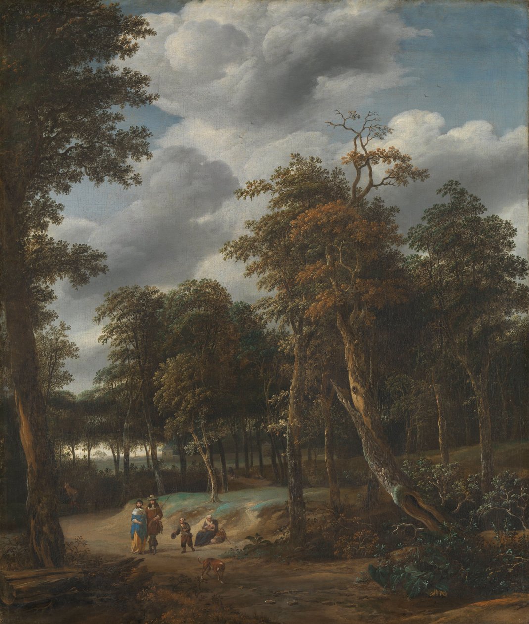 Route forestière - Jan Looten