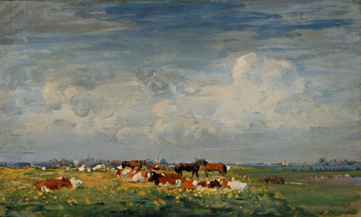 Paysage estival de prairie à l