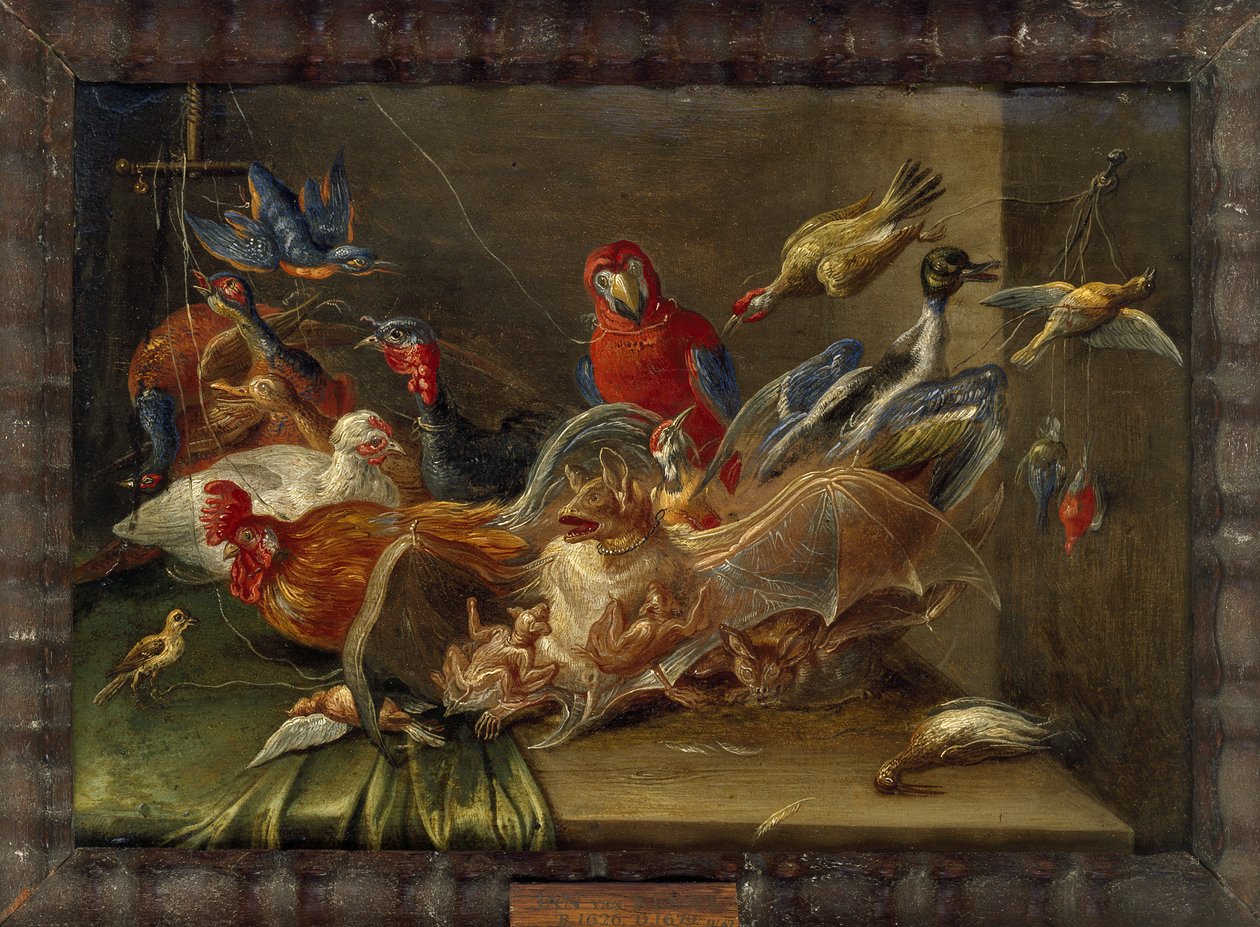 Composition de nature morte décorative avec oiseaux et deux chauves-souris - Jan van Kessel the Elder