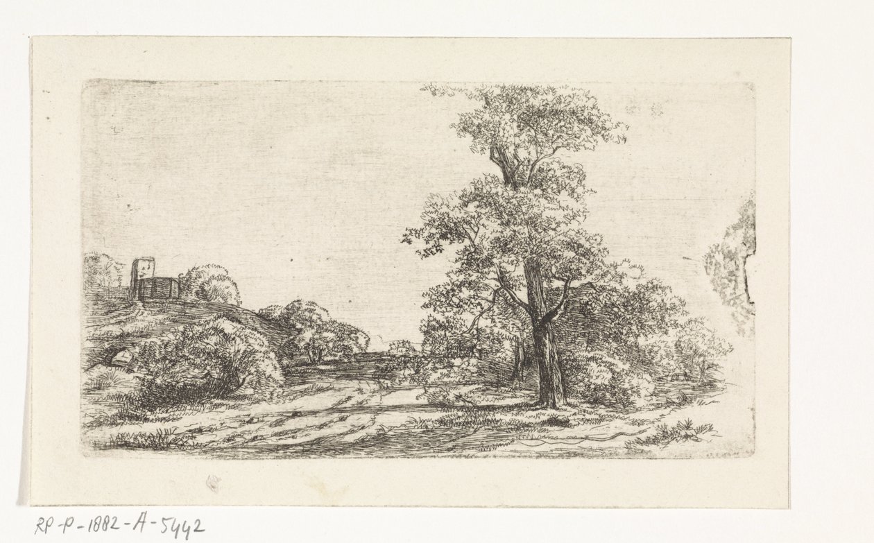 Paysage avec un arbre - Jan Andries Töpfer