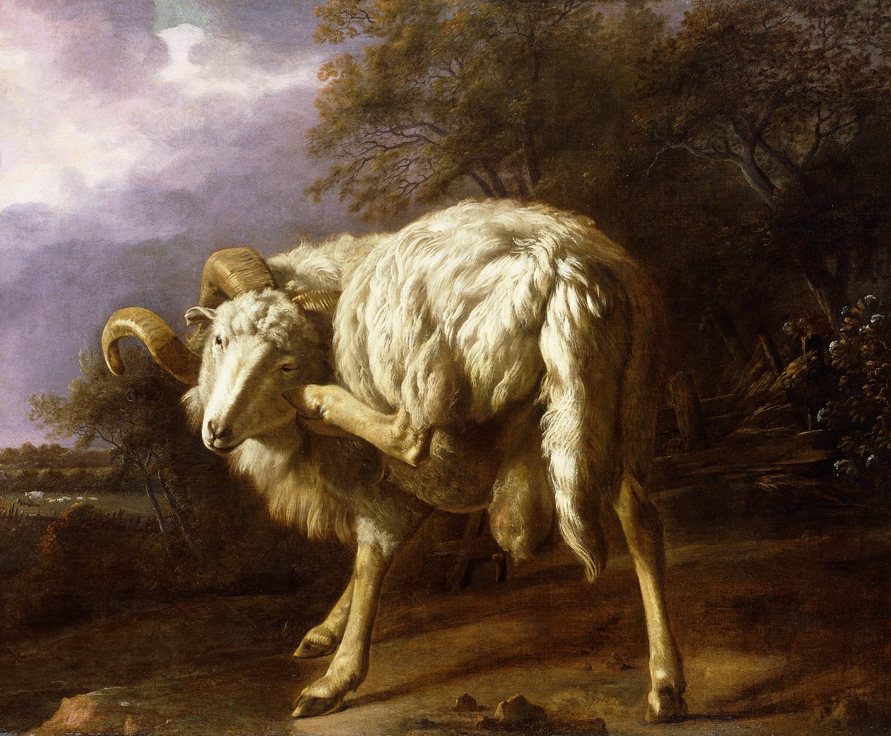 Un bélier dans un paysage boisé - Jan Baptist Weenix