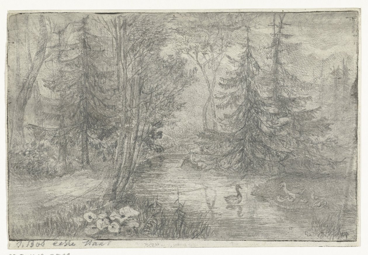 Étang forestier avec des canards - Jan Bos Wz. (signed by artist)
