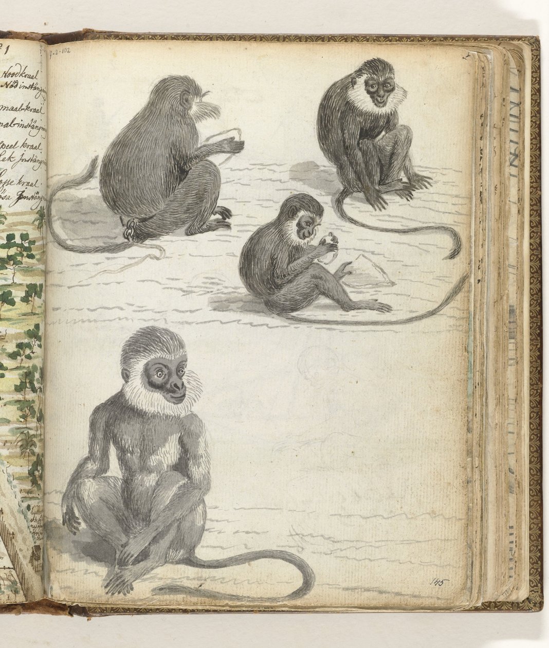 Singe Rolleway - Jan Brandes