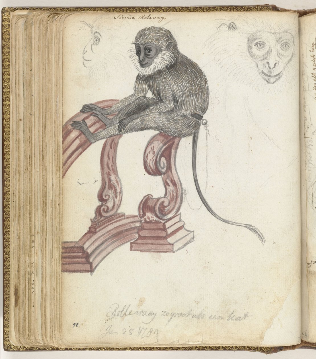 Singe Rolleway - Jan Brandes