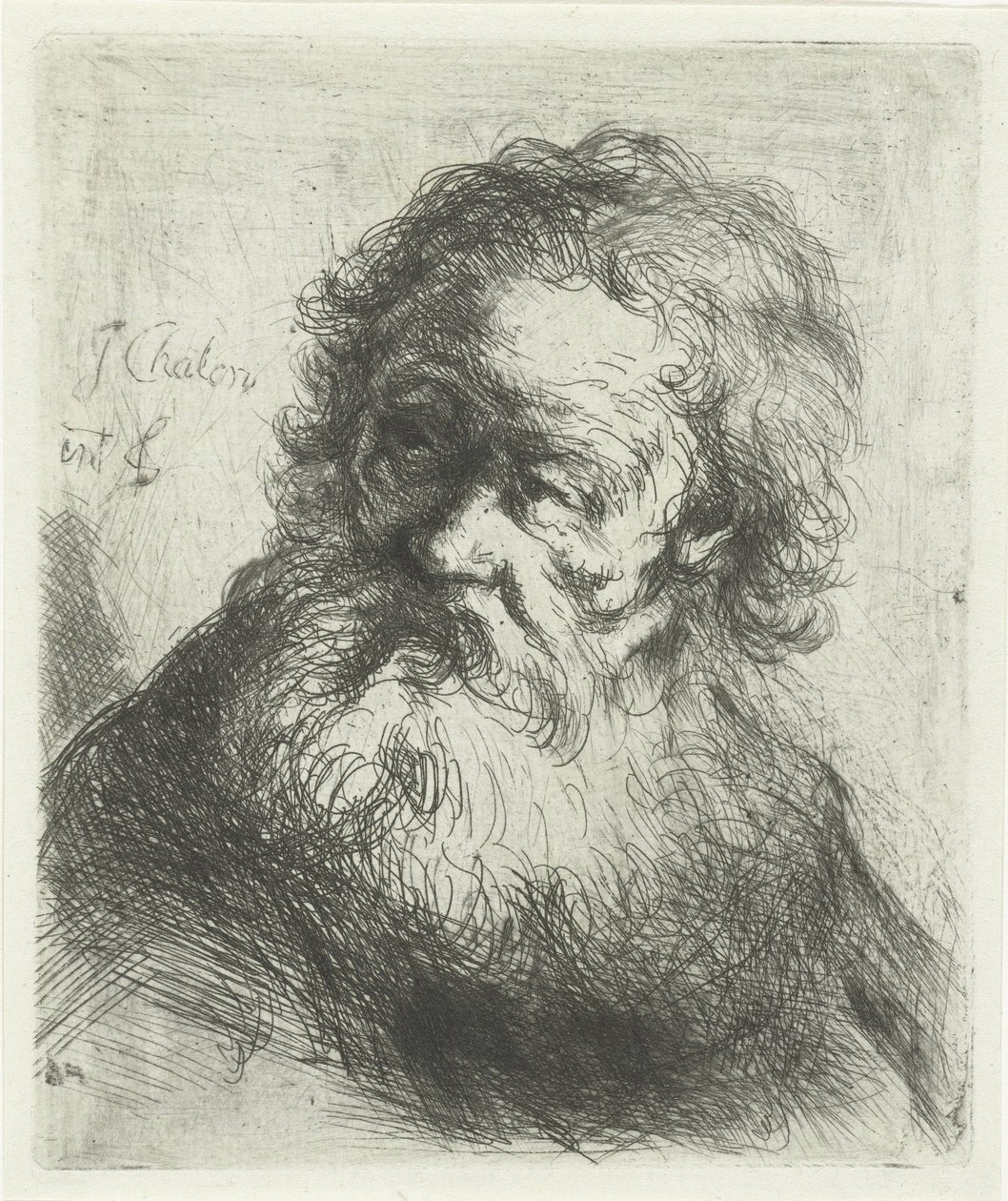 Vieil homme avec barbe - Jan Chalon