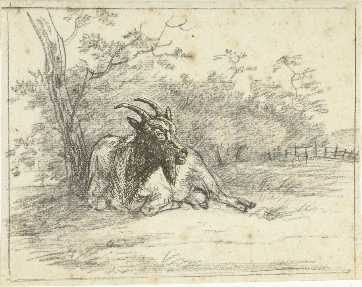 Chèvre couchée - Jan Dasveldt
