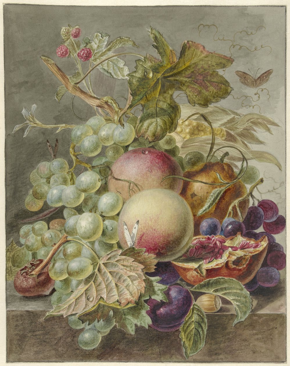 Nature morte avec fruits - Jan Evert Morel (I)