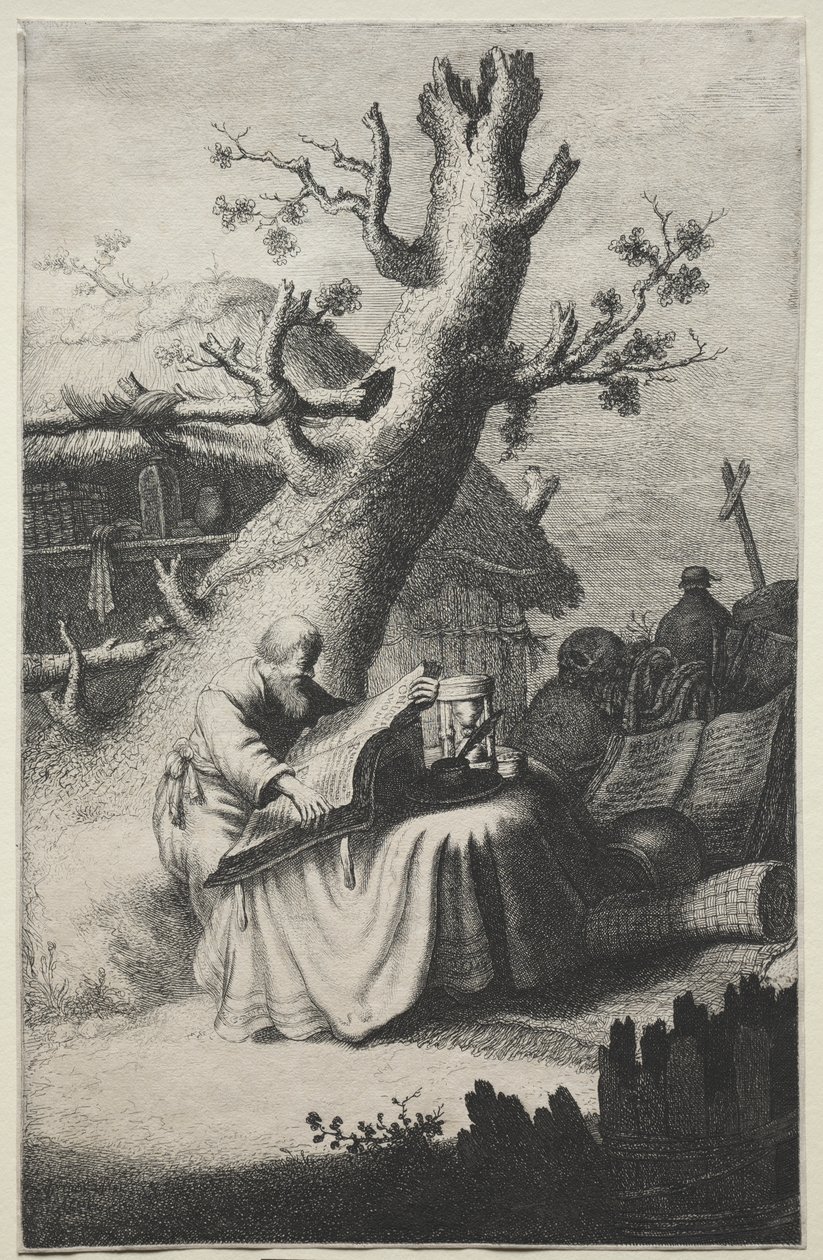 Saint Jérôme - Jan Georg van Vliet