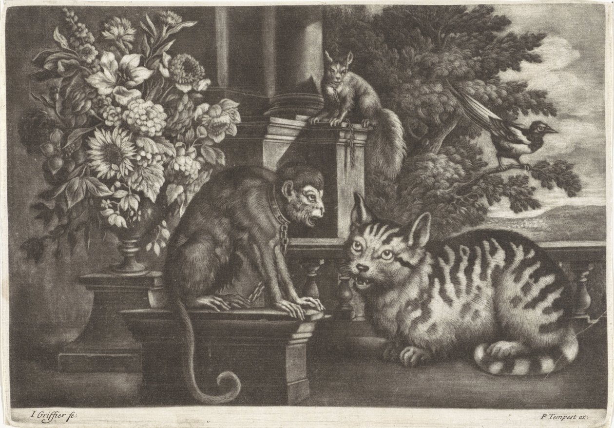 Singe, chat, écureuil et pie - Jan Griffier (I)