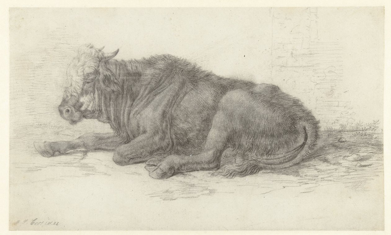 Vache couchée - Jan Joost van Cossiau