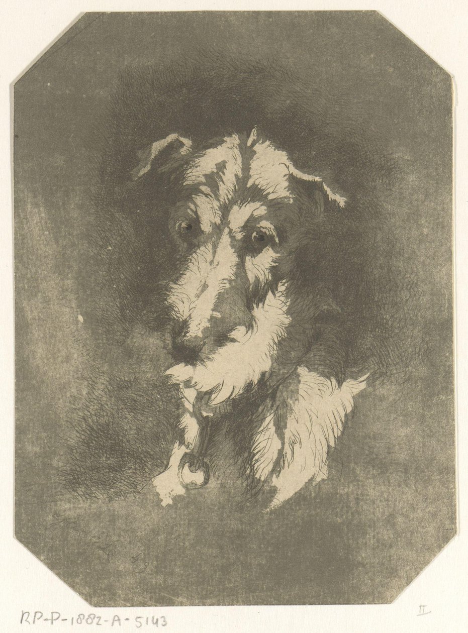 Tête de lévrier - Jan Karel Jacob de Jonge