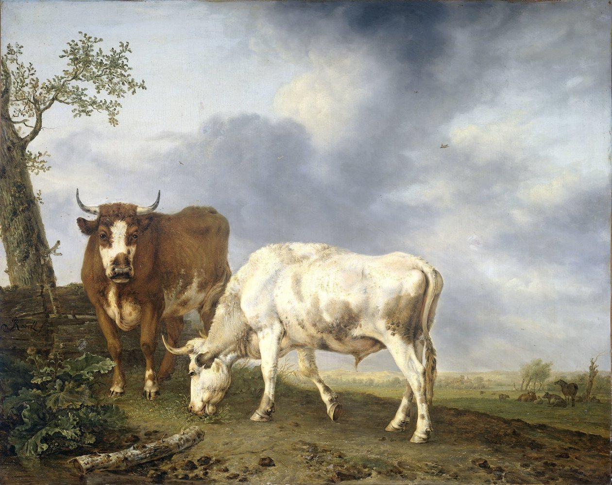 Bœufs dans le pré - Jan Kobell (II)