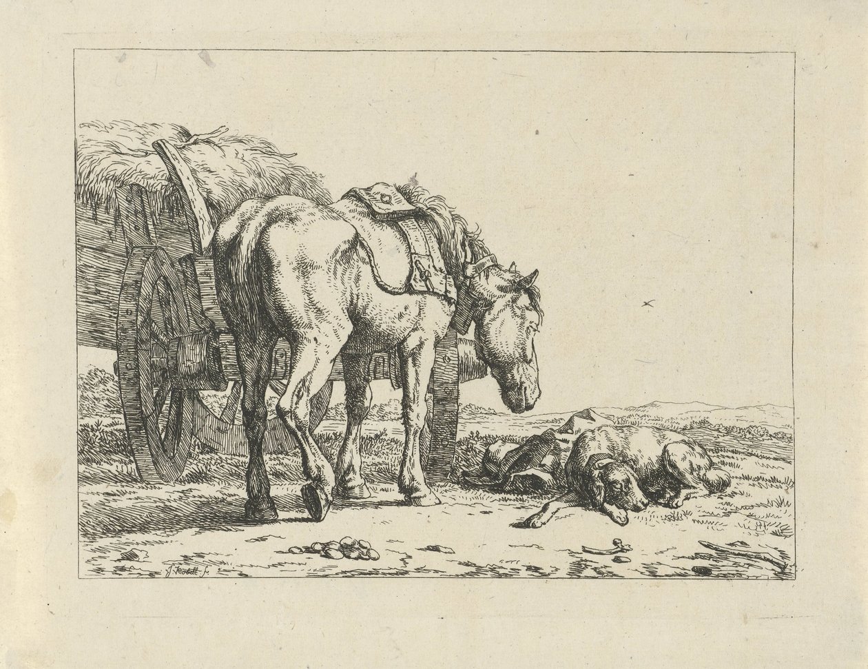 Cheval et chien près d