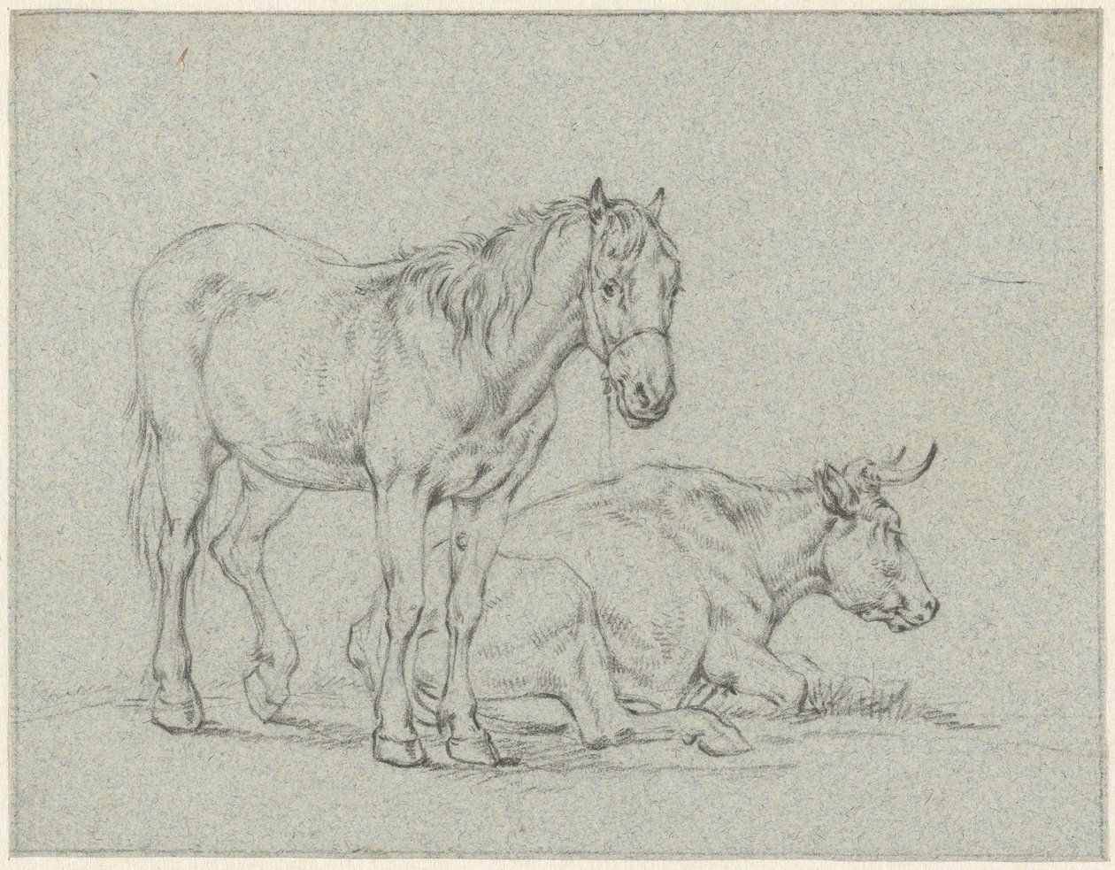 Cheval debout et une vache couchée - Jan Kobell (II)