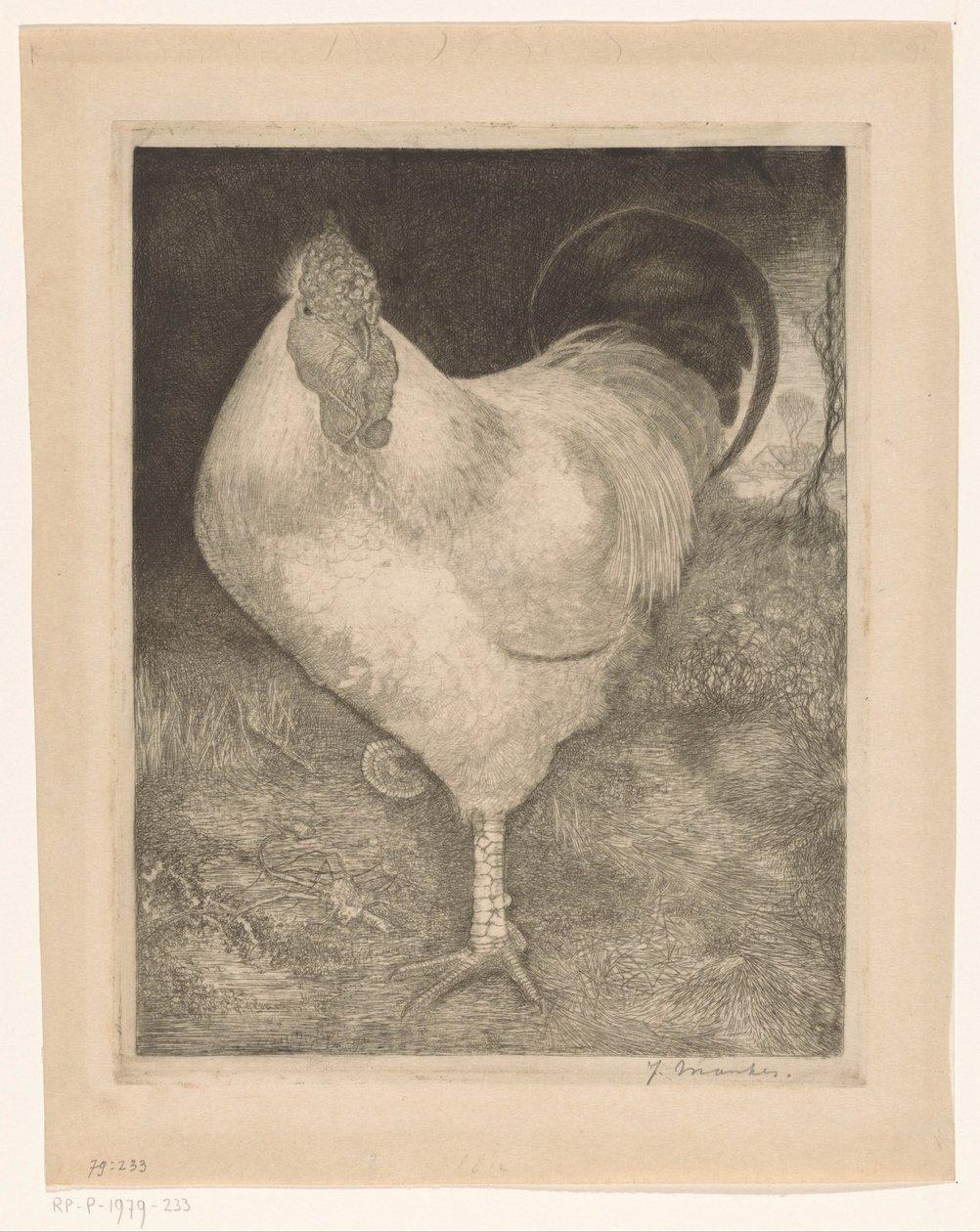 Coq sur une patte - Jan Mankes (signed by artist)
