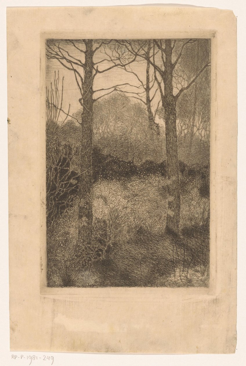 Lisière de forêt - Jan Mankes
