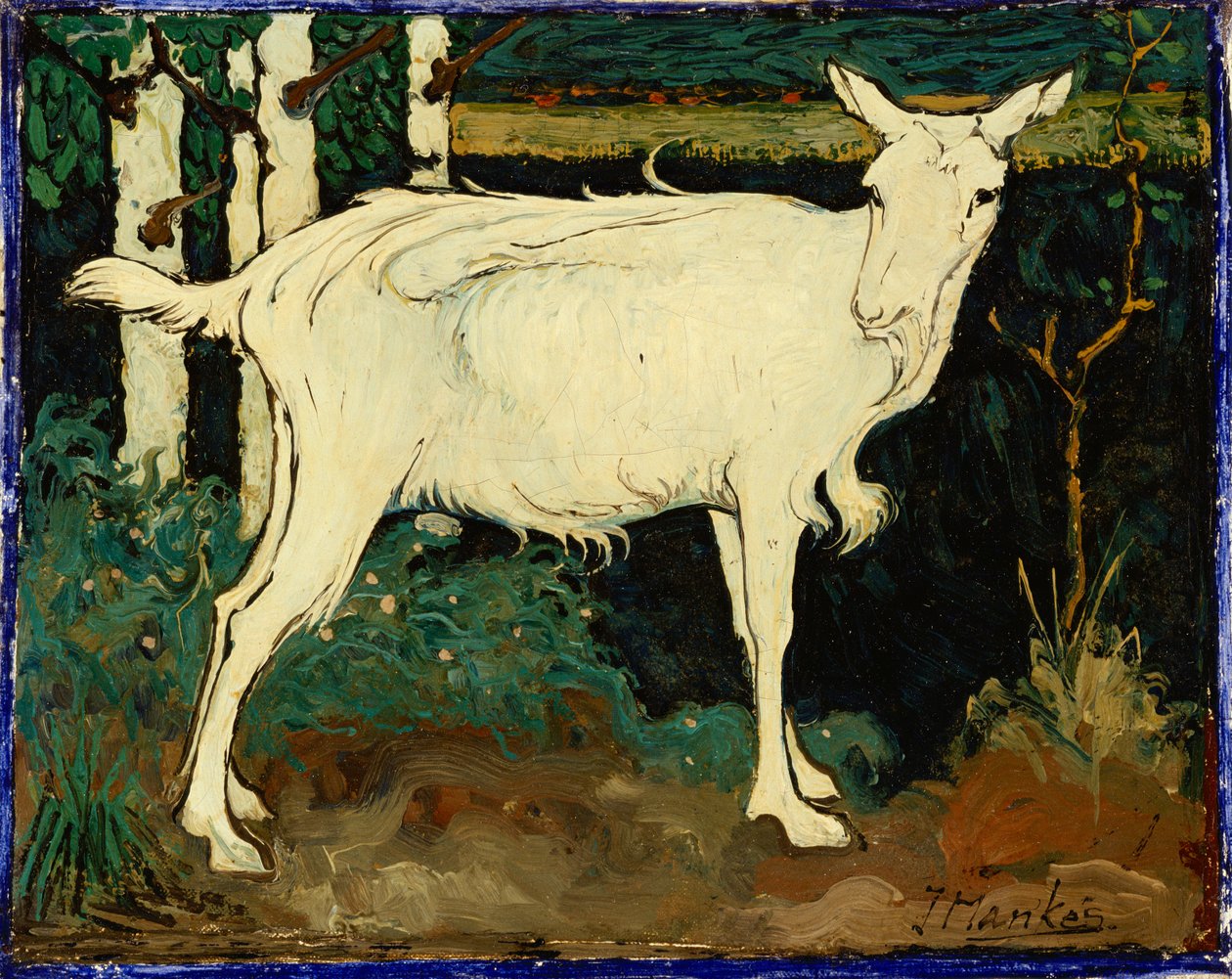 Chèvre - Jan Mankes