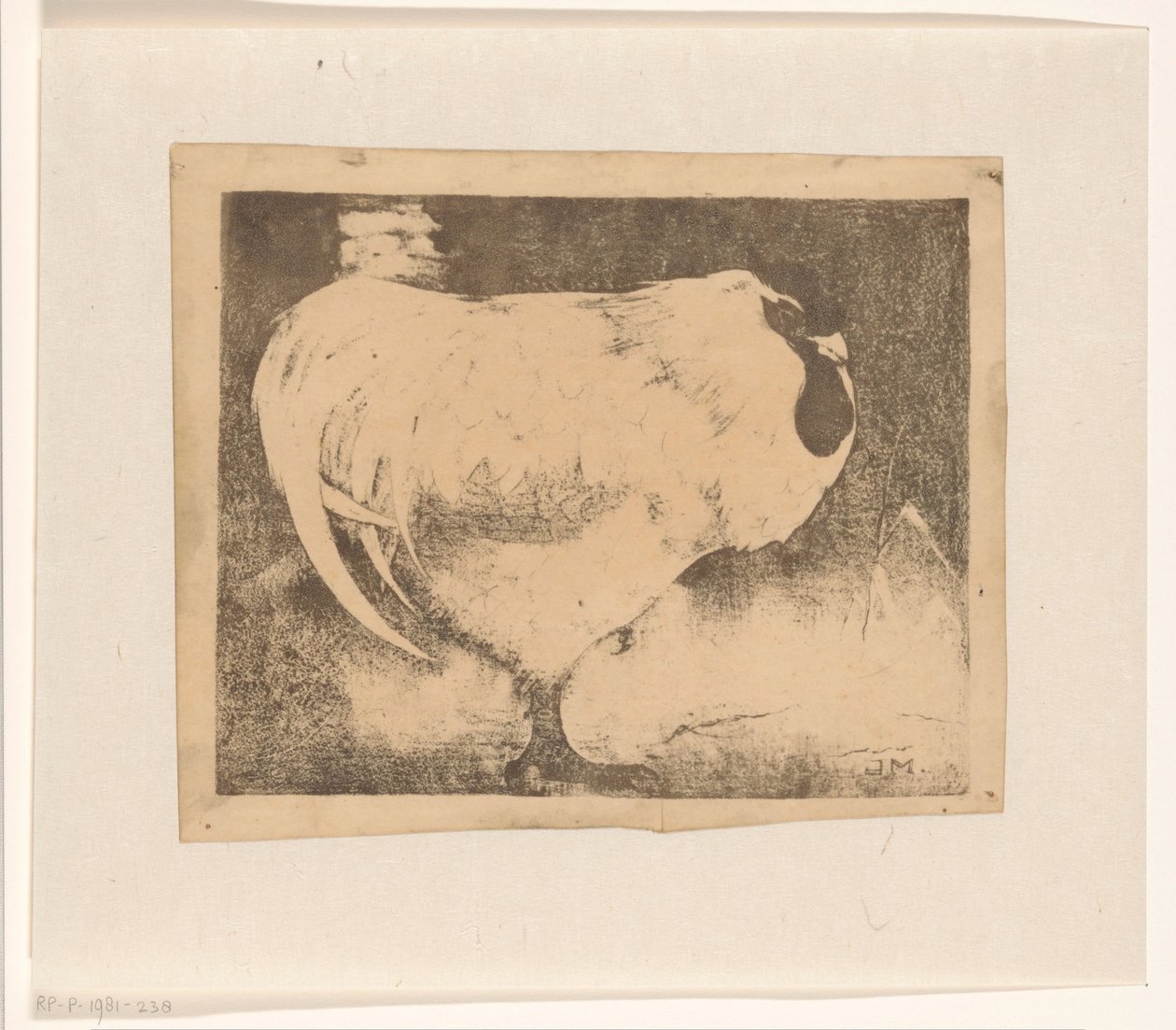 Coq recroquevillé - Jan Mankes