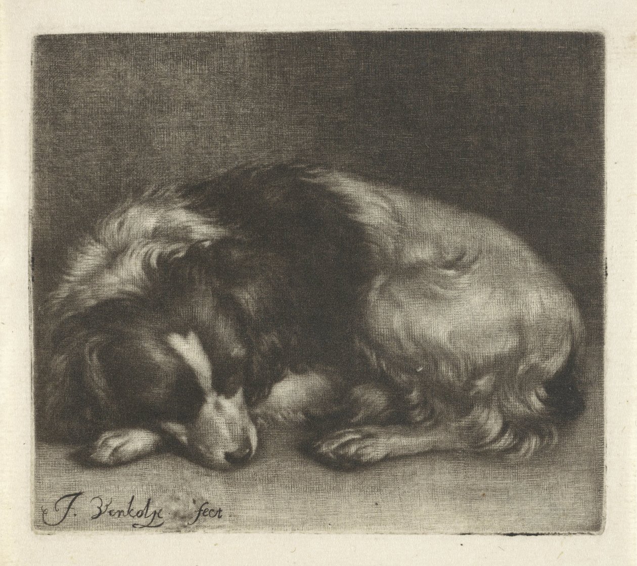 Chien endormi, probablement un épagneul - Jan Verkolje (I)