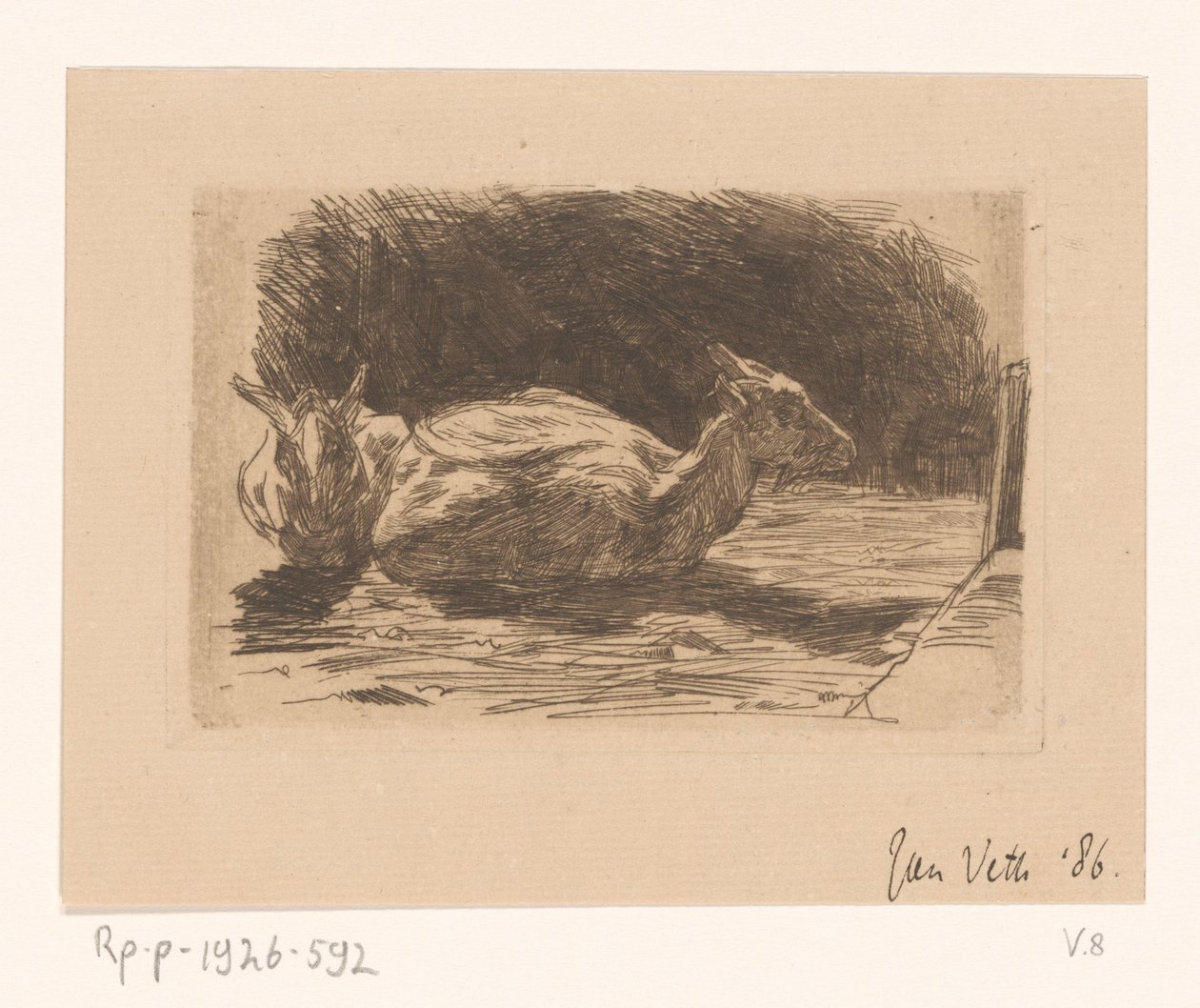 Deux chèvres - Jan Veth (signed by artist)