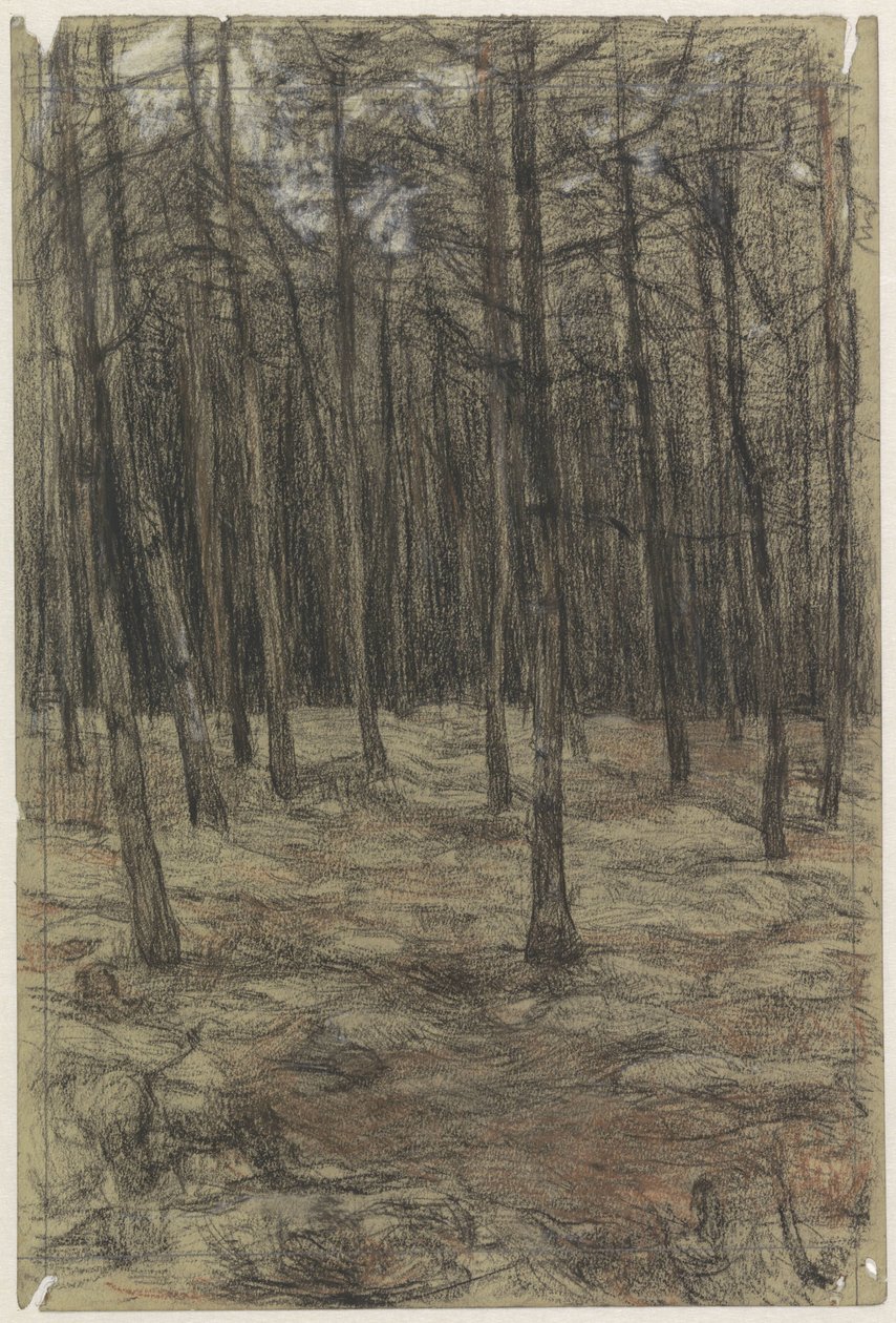 Paysage forestier - Jan Veth
