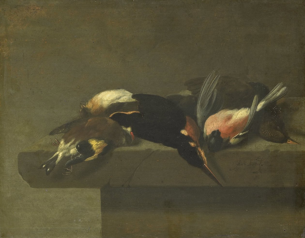 Oiseaux morts - Jan Vonck