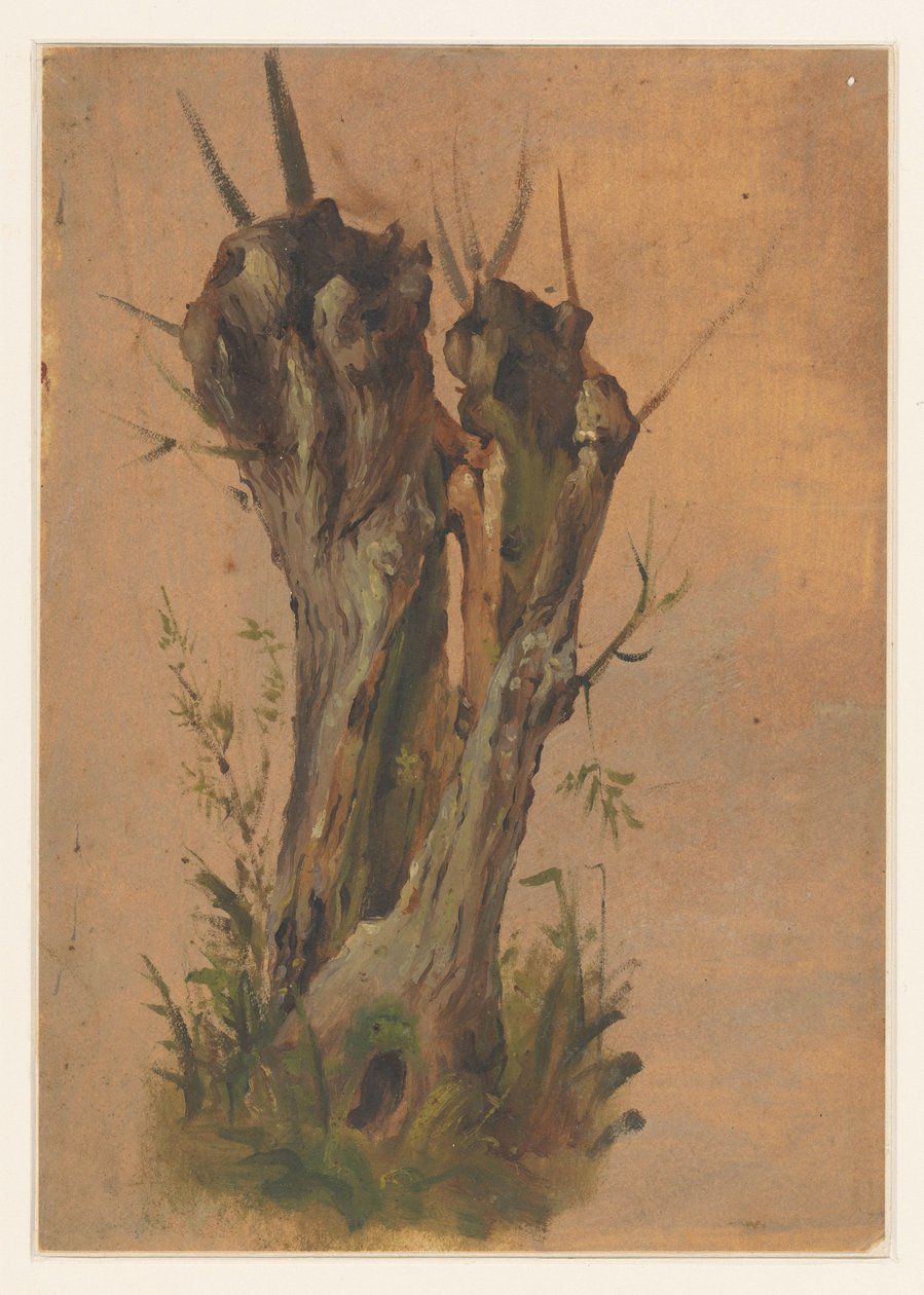 Saule têtard - Jan Weissenbruch