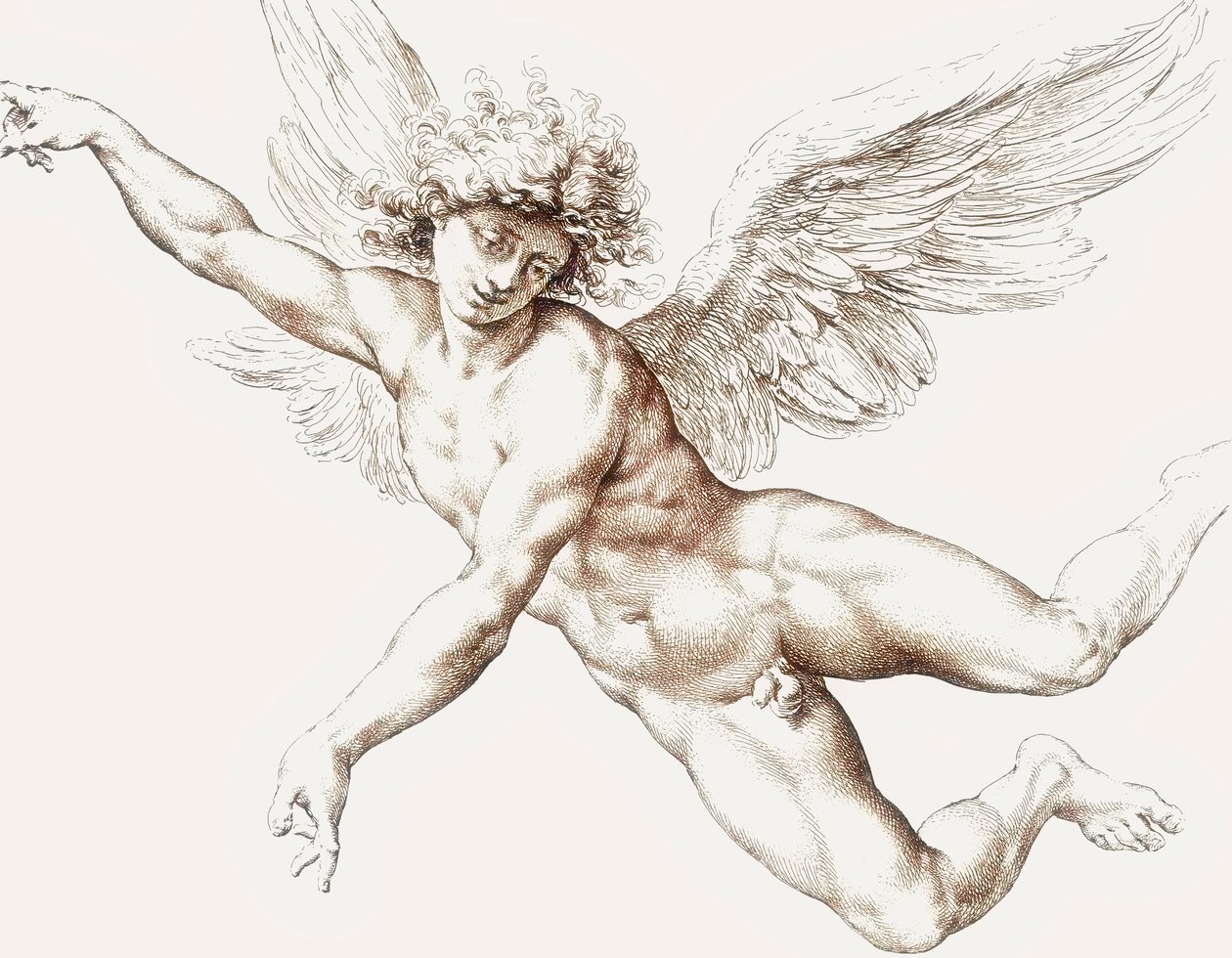 Ange mâle nu volant - Jan de Bisschop
