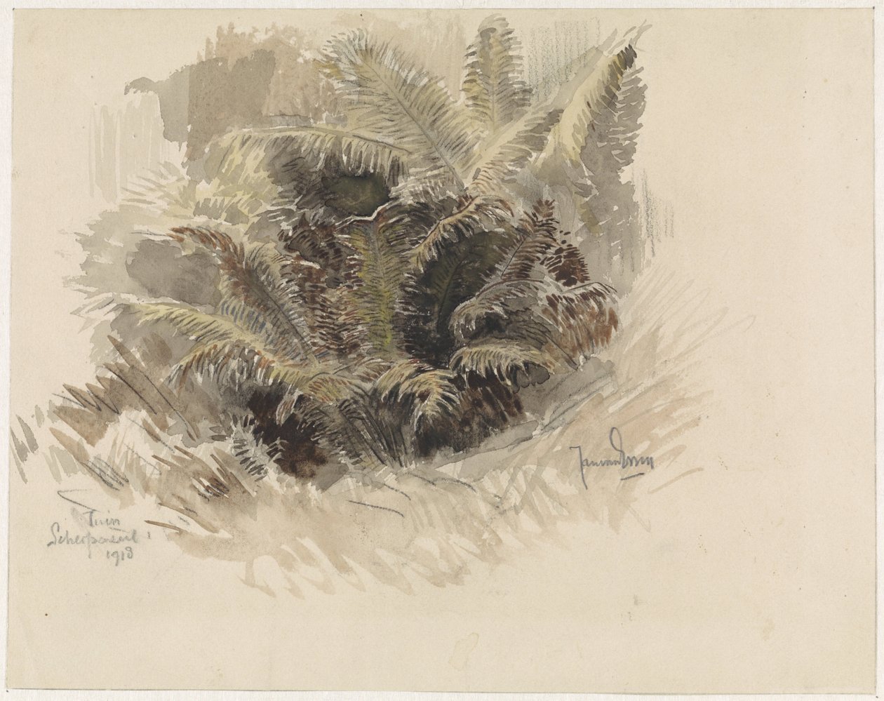 Fougère royale dans un jardin à Scherpenzeel - Jan van Essen
