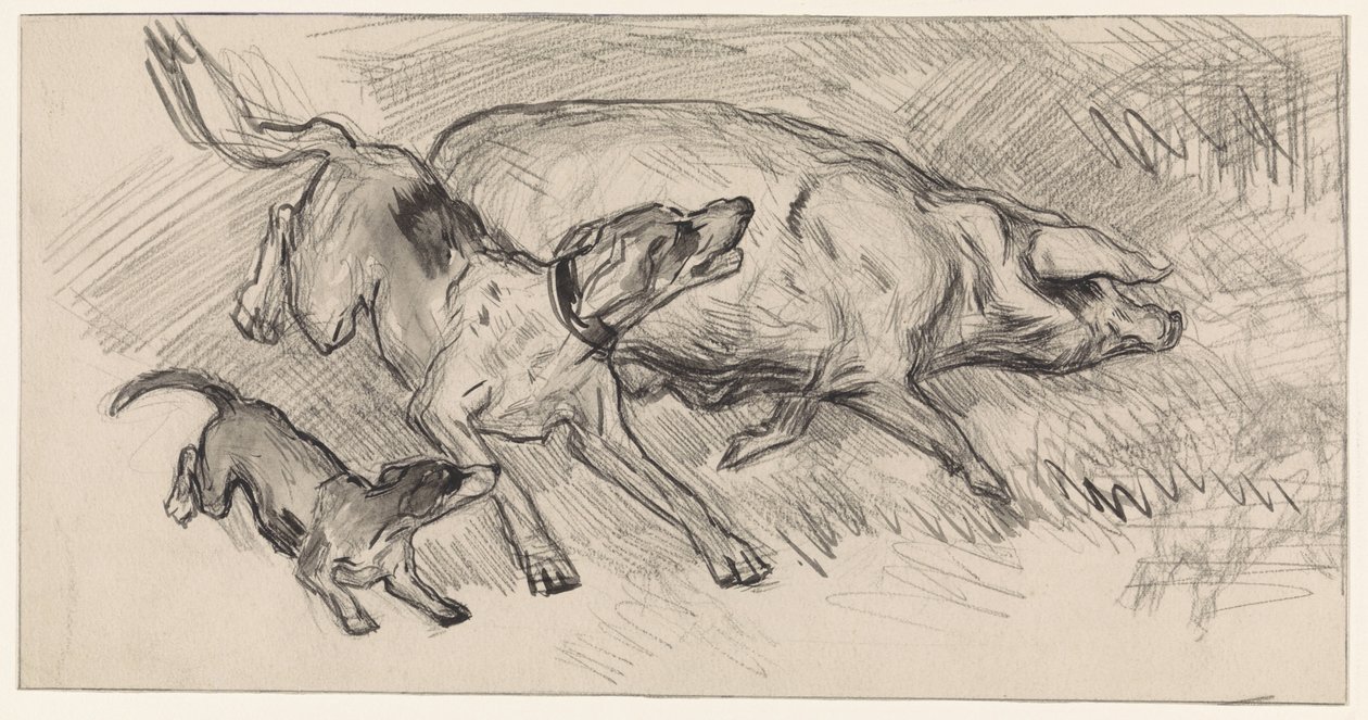 Deux chiens chassant un cochon - Jan van Essen