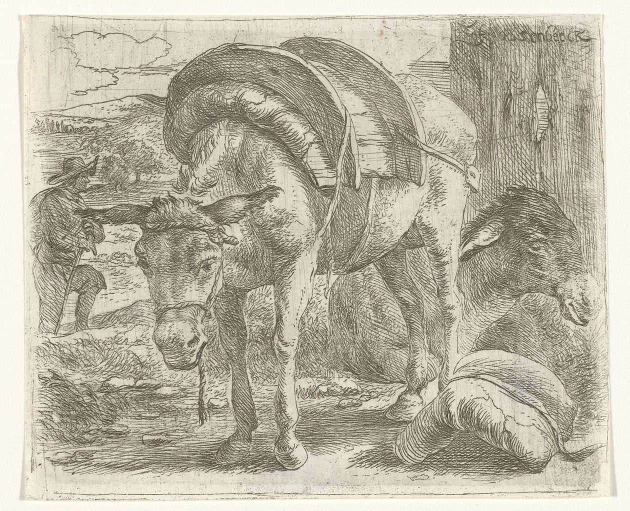 Âne de bât - Jan van Ossenbeeck