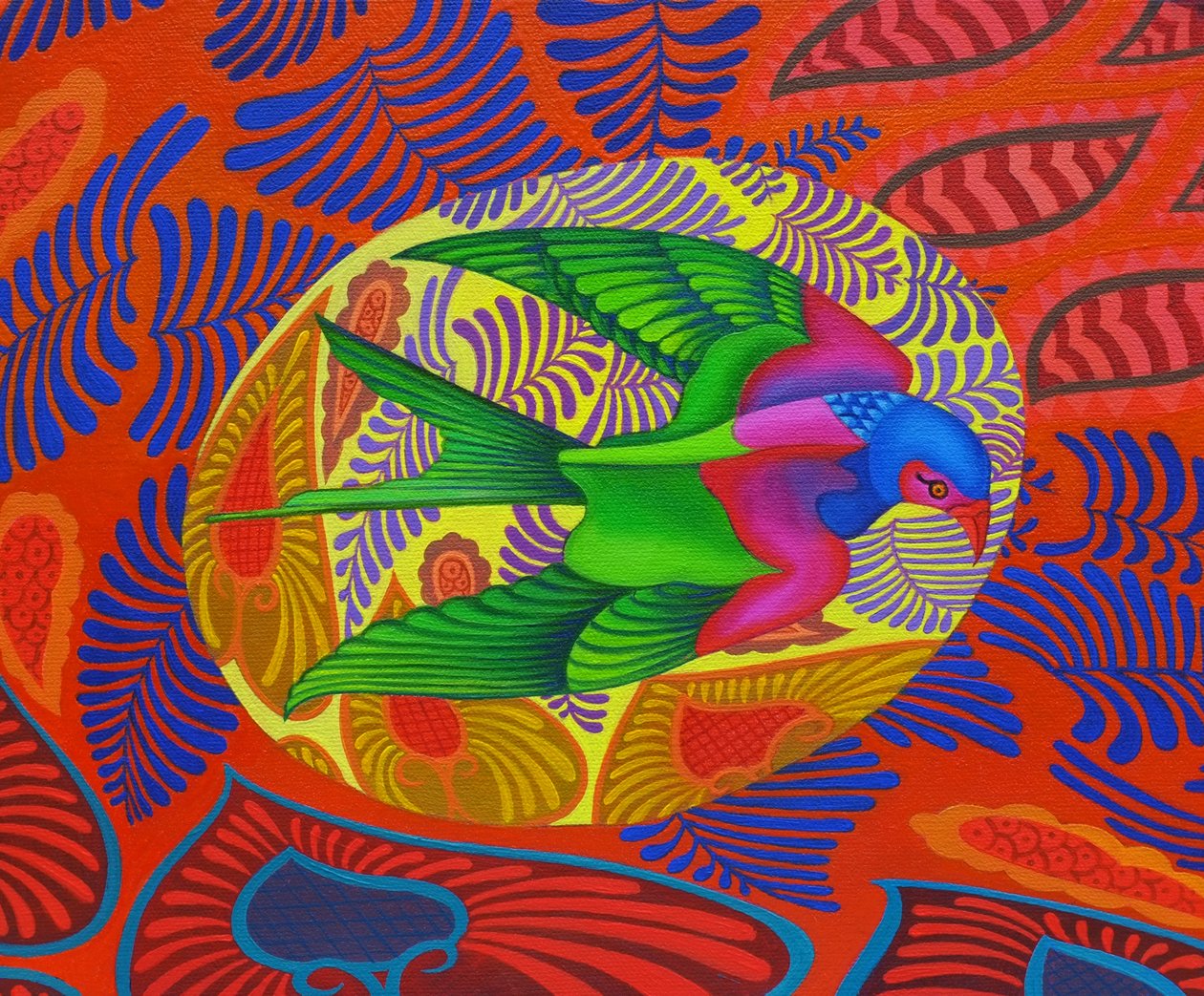 Milan à queue fourchue, 2012 - Jane Tattersfield