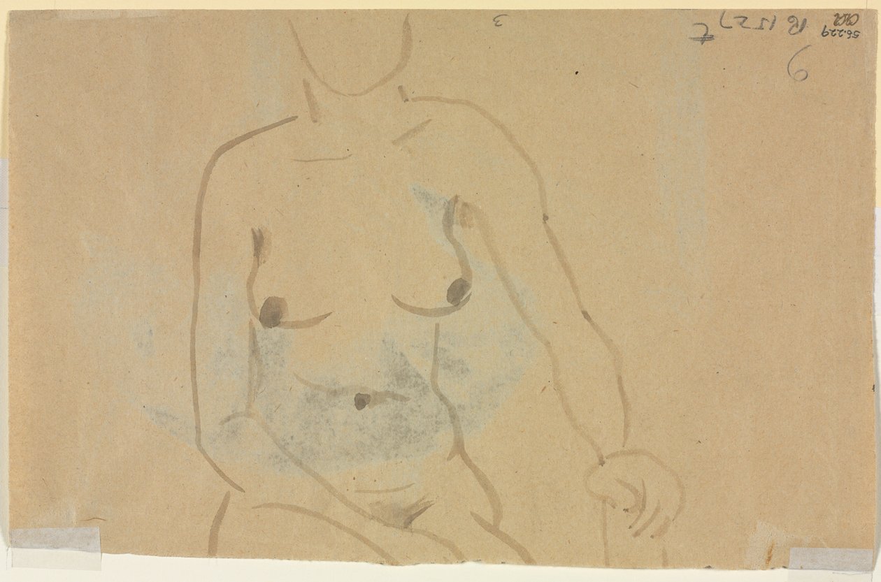 Torso d