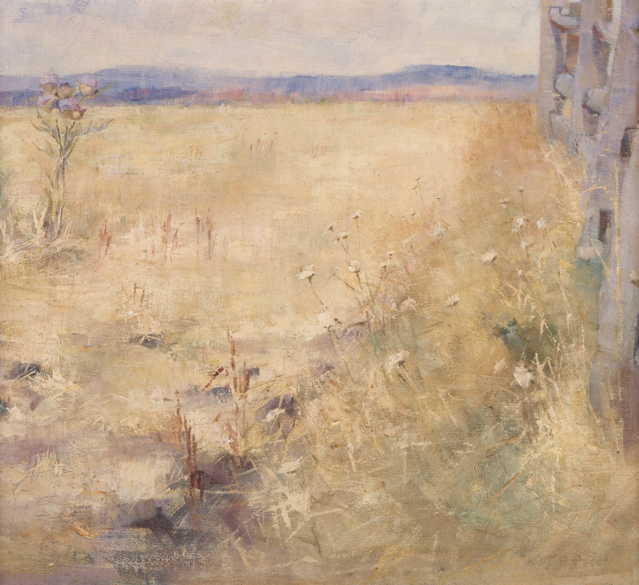 Champ labouré en été - Jane Price