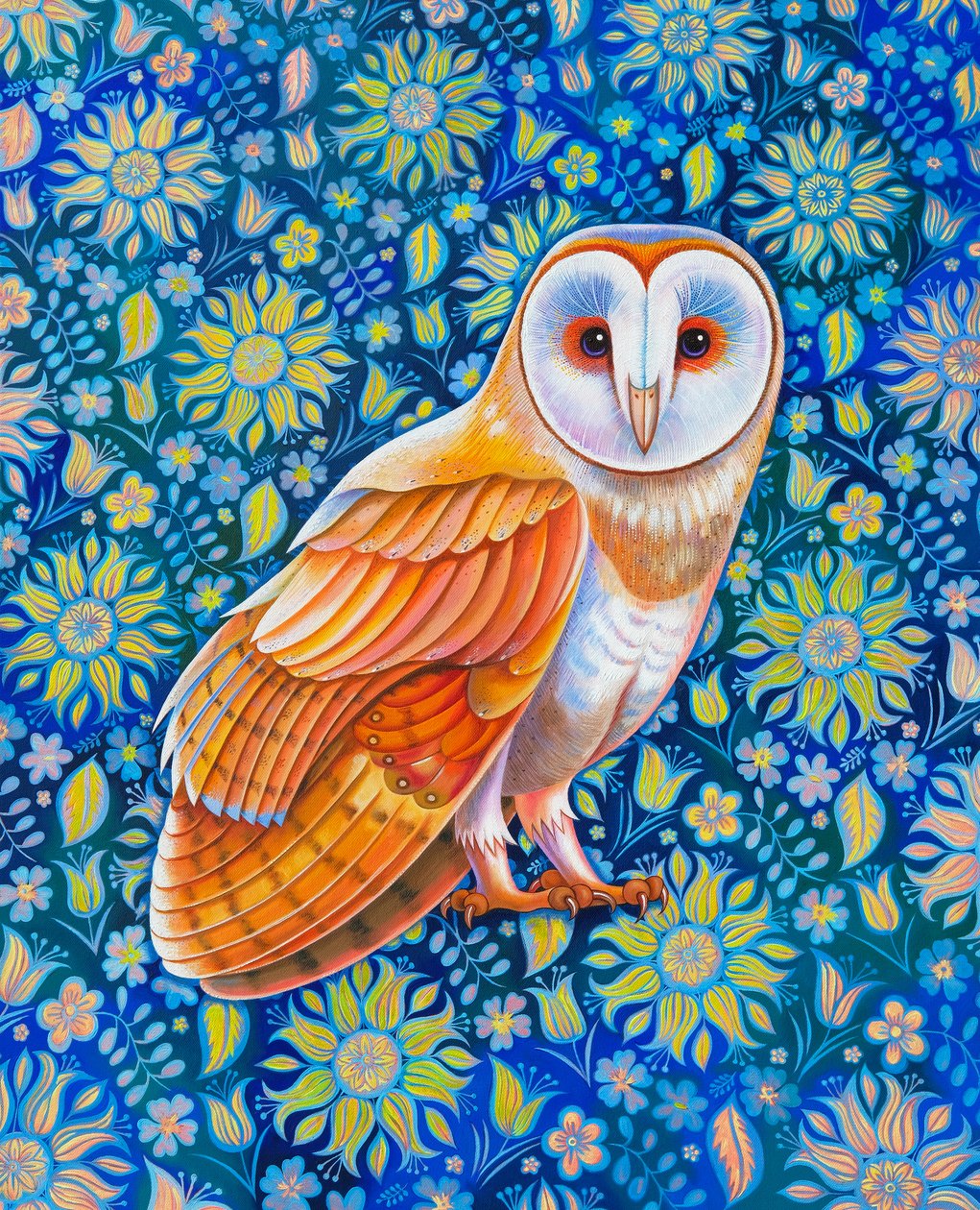 Chouette effraie - Jane Tattersfield