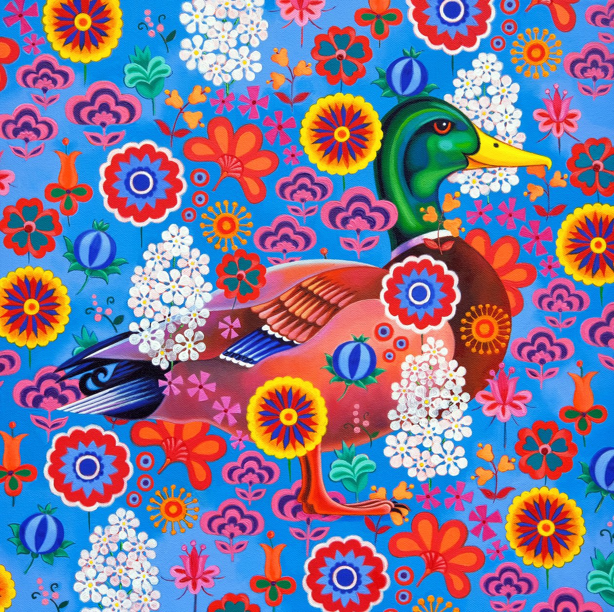 Canard - Jane Tattersfield