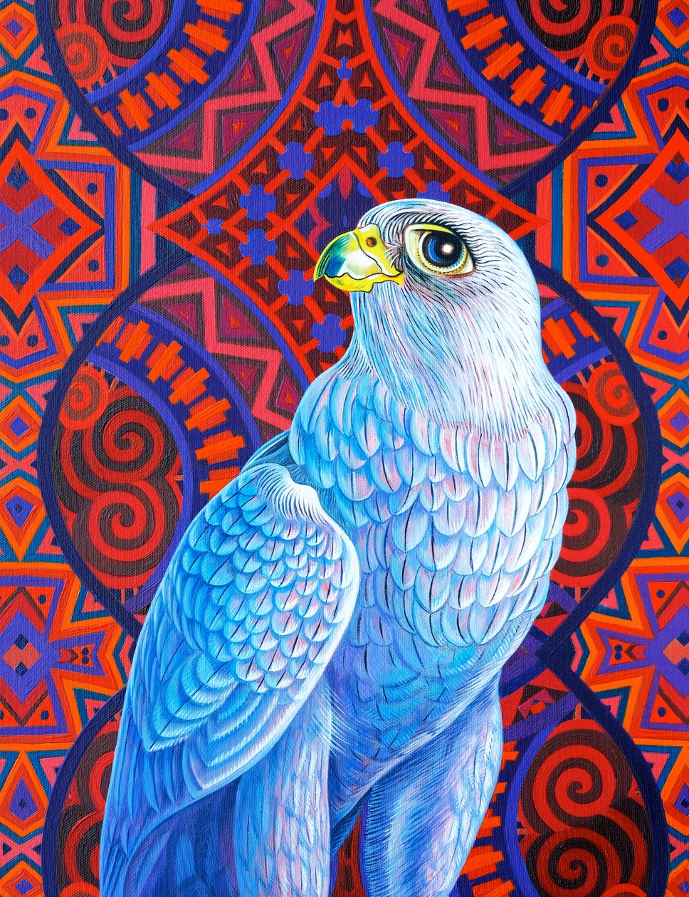 Faucon gris - Jane Tattersfield