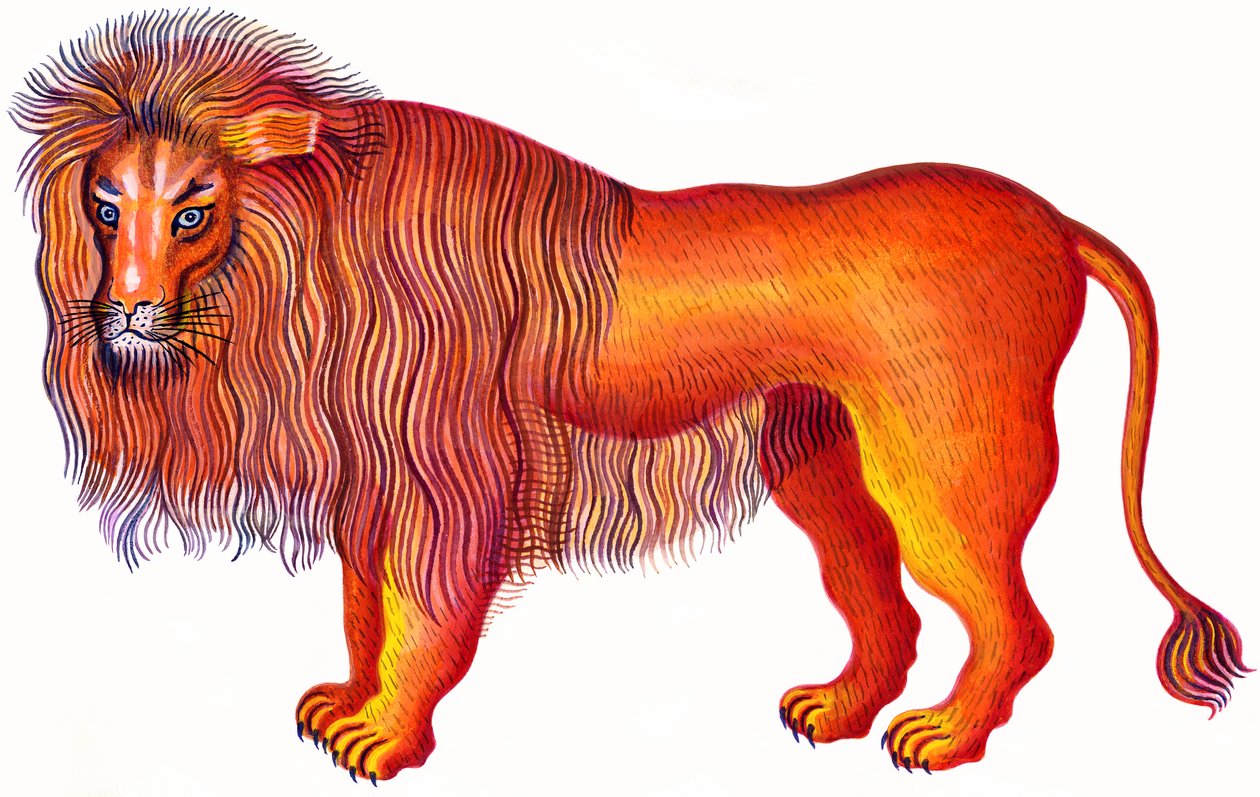 Lion - Jane Tattersfield