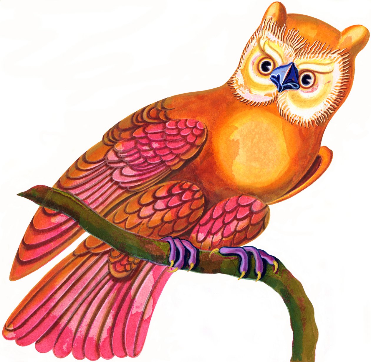 Hibou - Jane Tattersfield