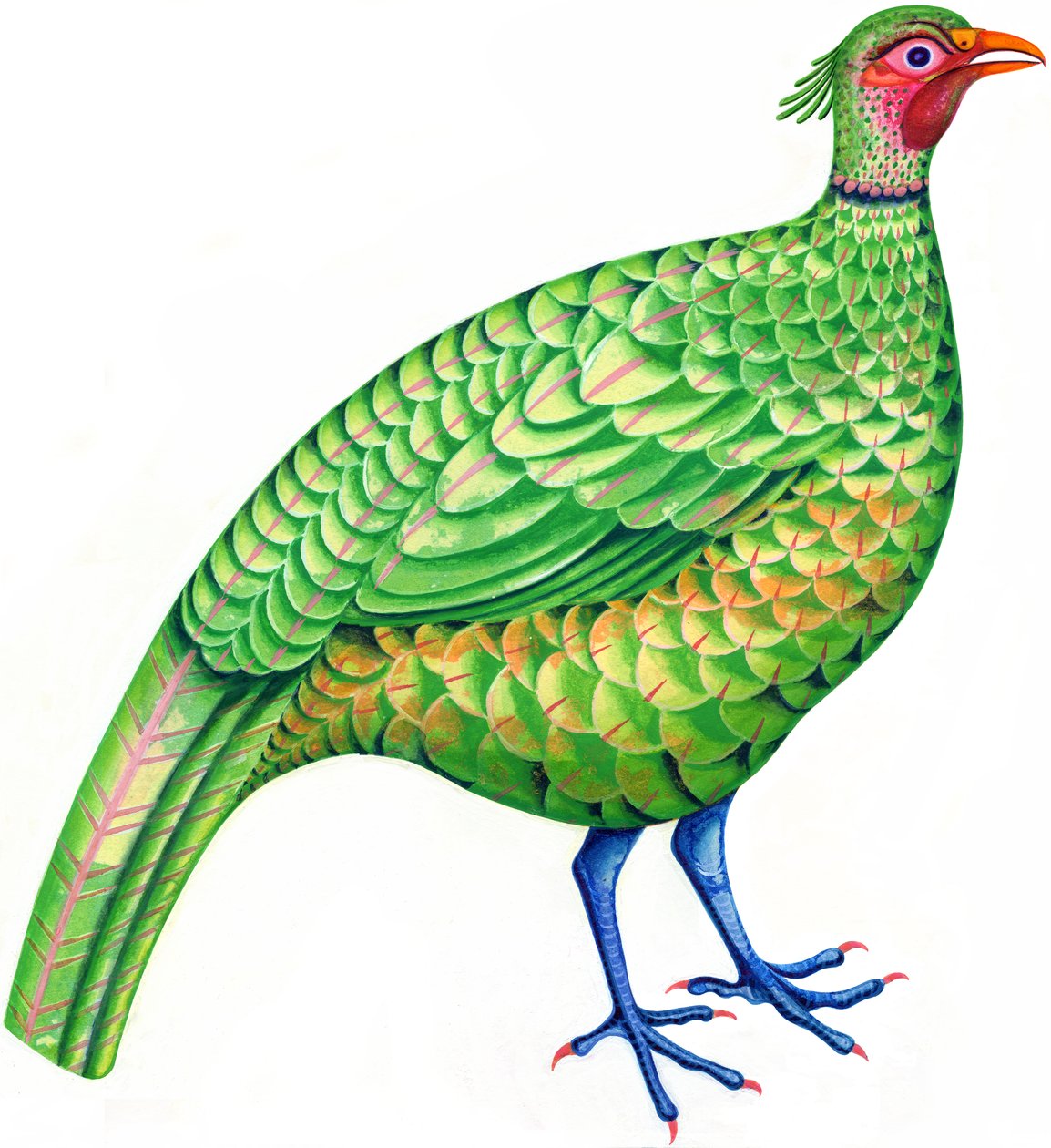Faisan - Jane Tattersfield