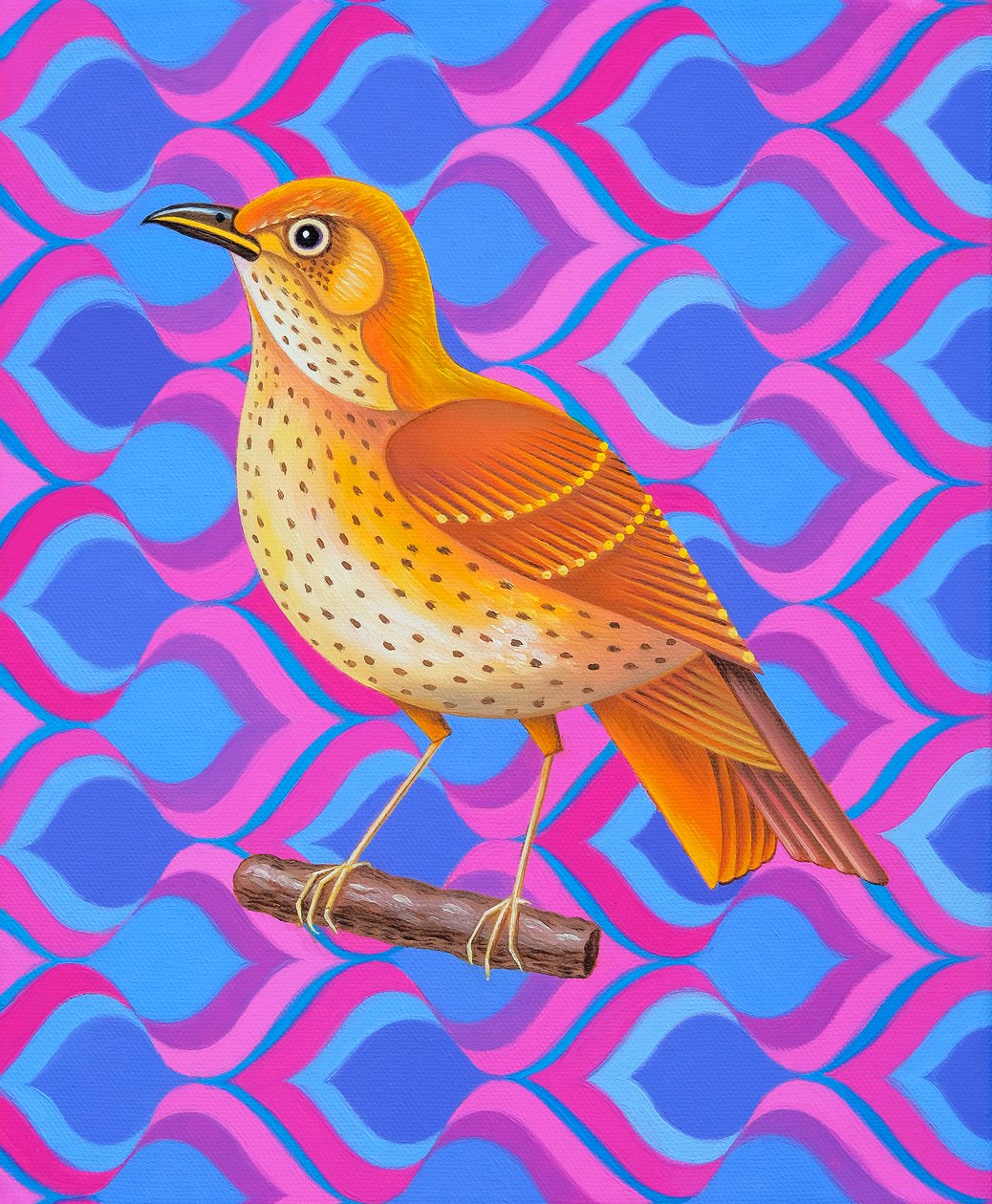 Grive musicienne - Jane Tattersfield