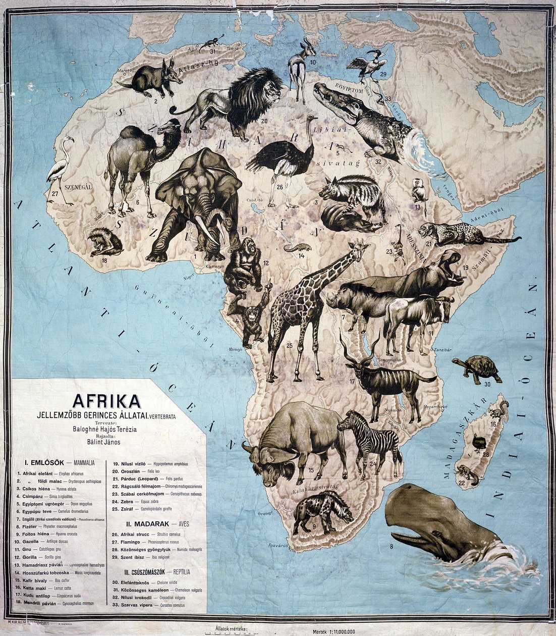 Carte des animaux en Afrique - Janos Balint