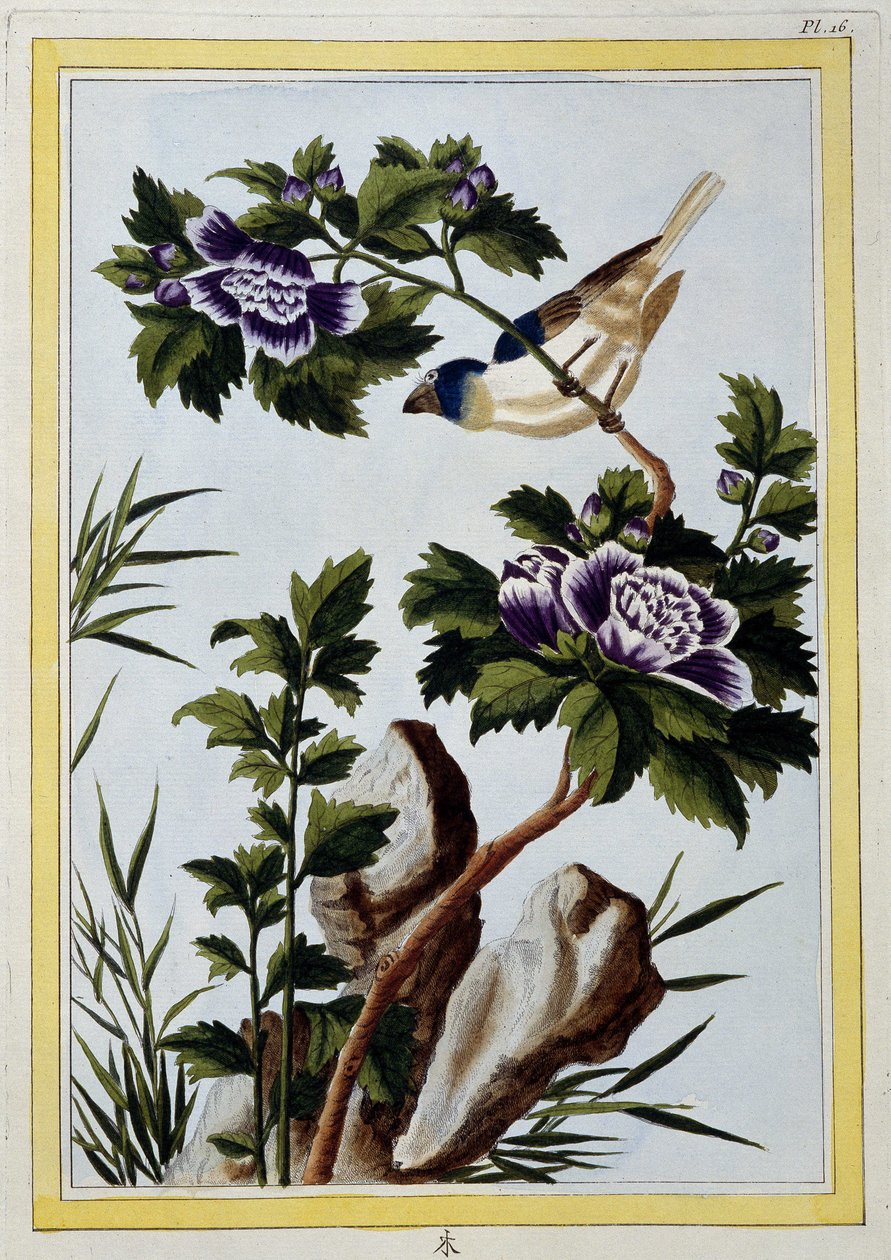 Oiseau - estampe japonaise - Japanese School