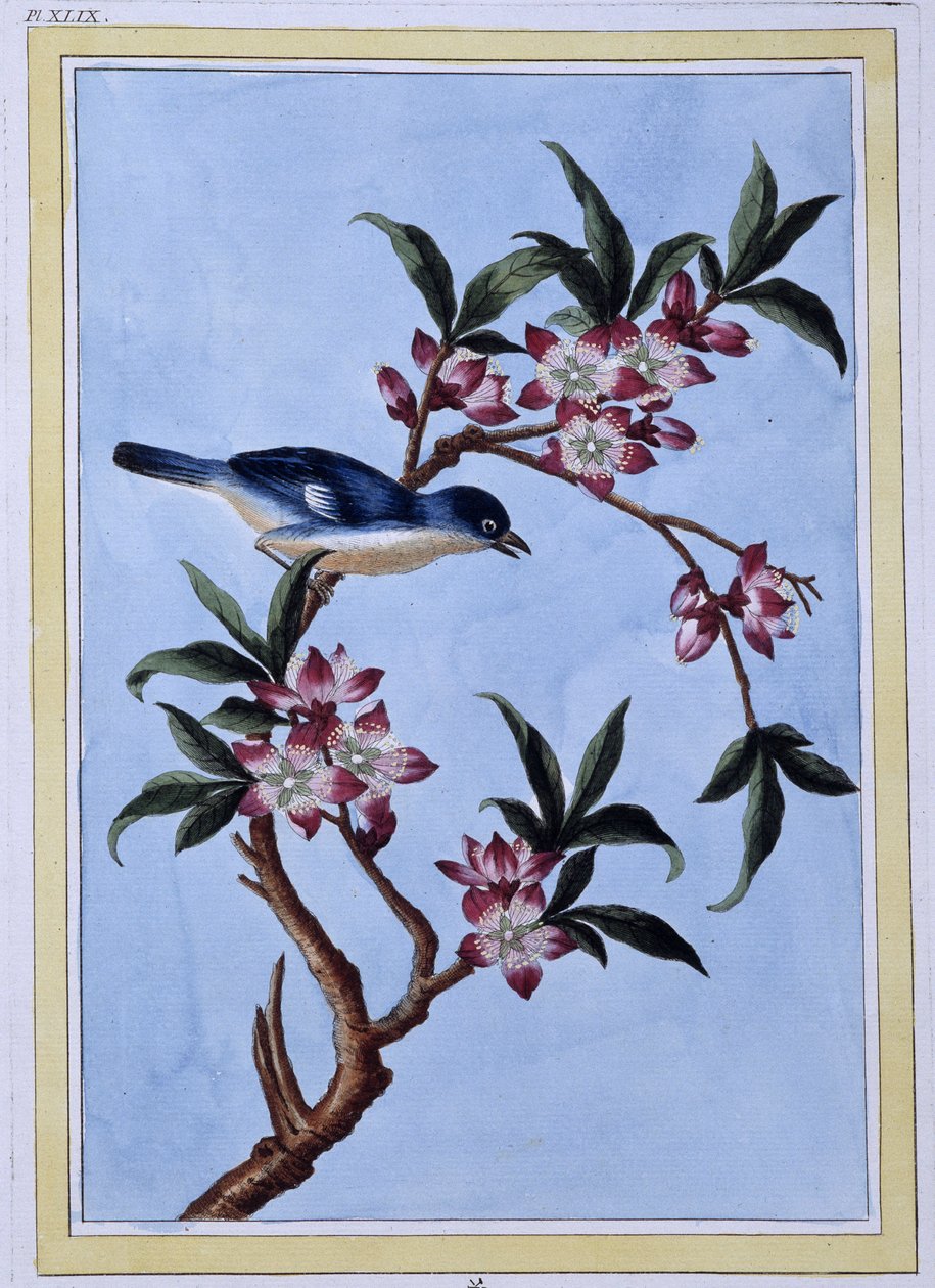 Oiseau - estampe japonaise - Japanese School