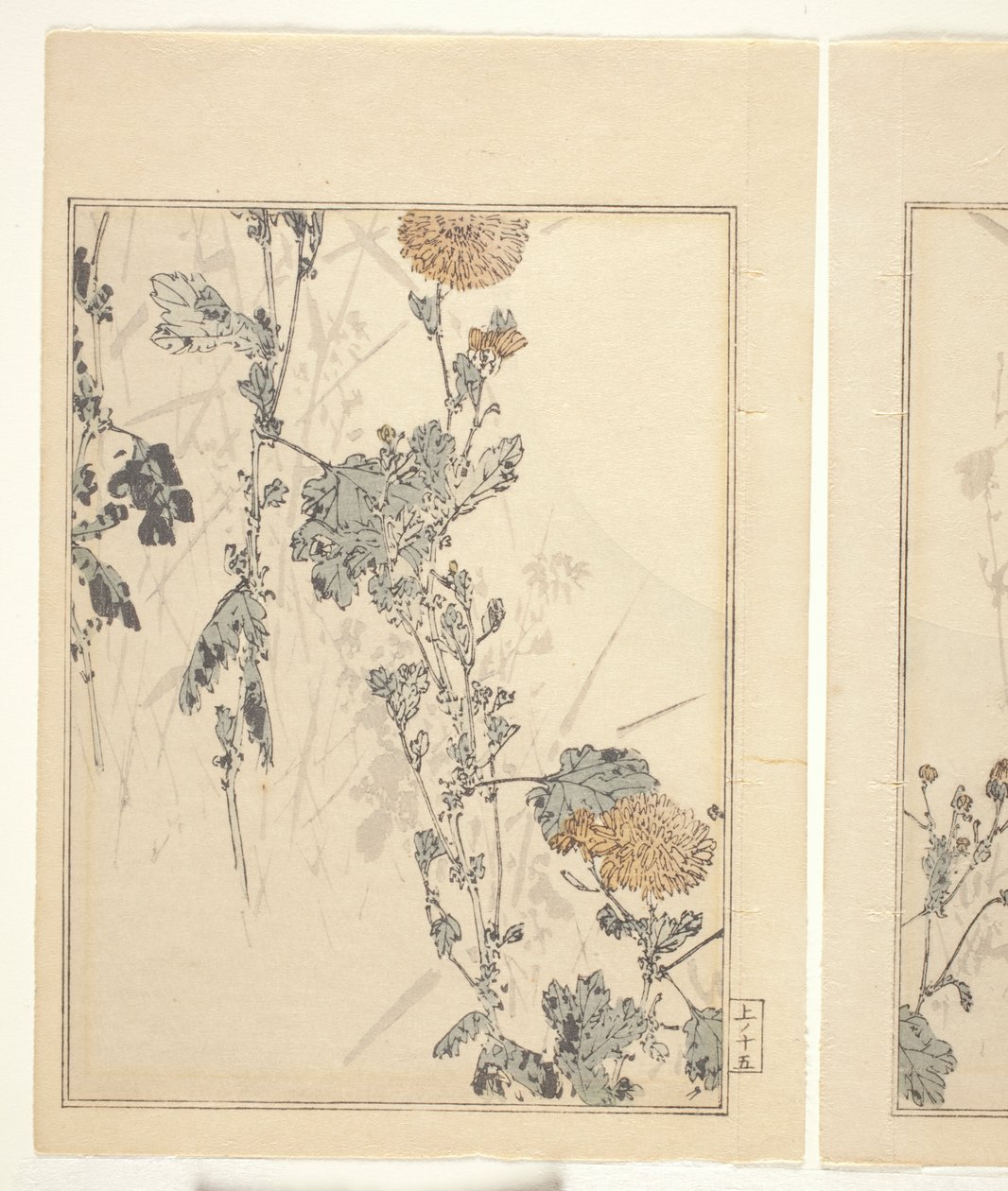 Chrysanthèmes - Japanese School