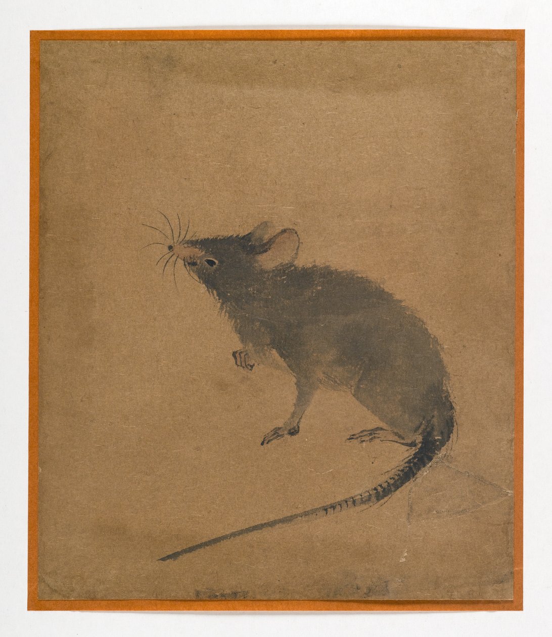 Souris - Japanese School