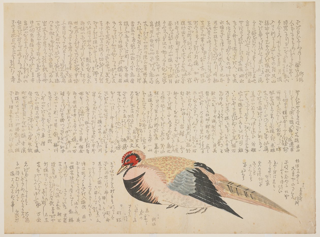 Faisan, c.1818-29 - Japanese School