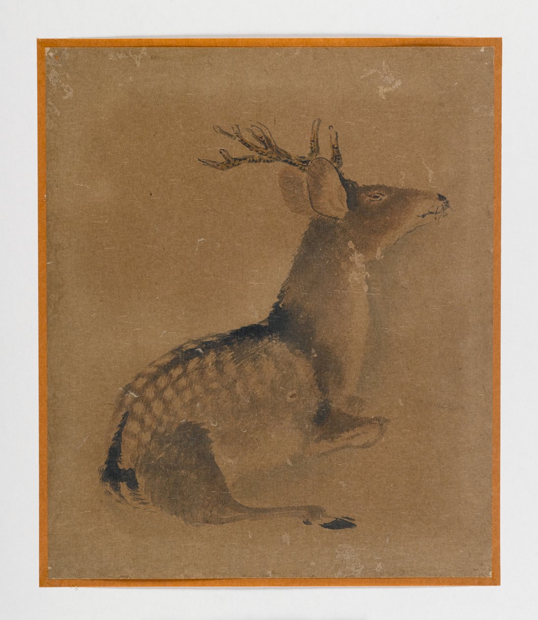 Cerf couché - Japanese School