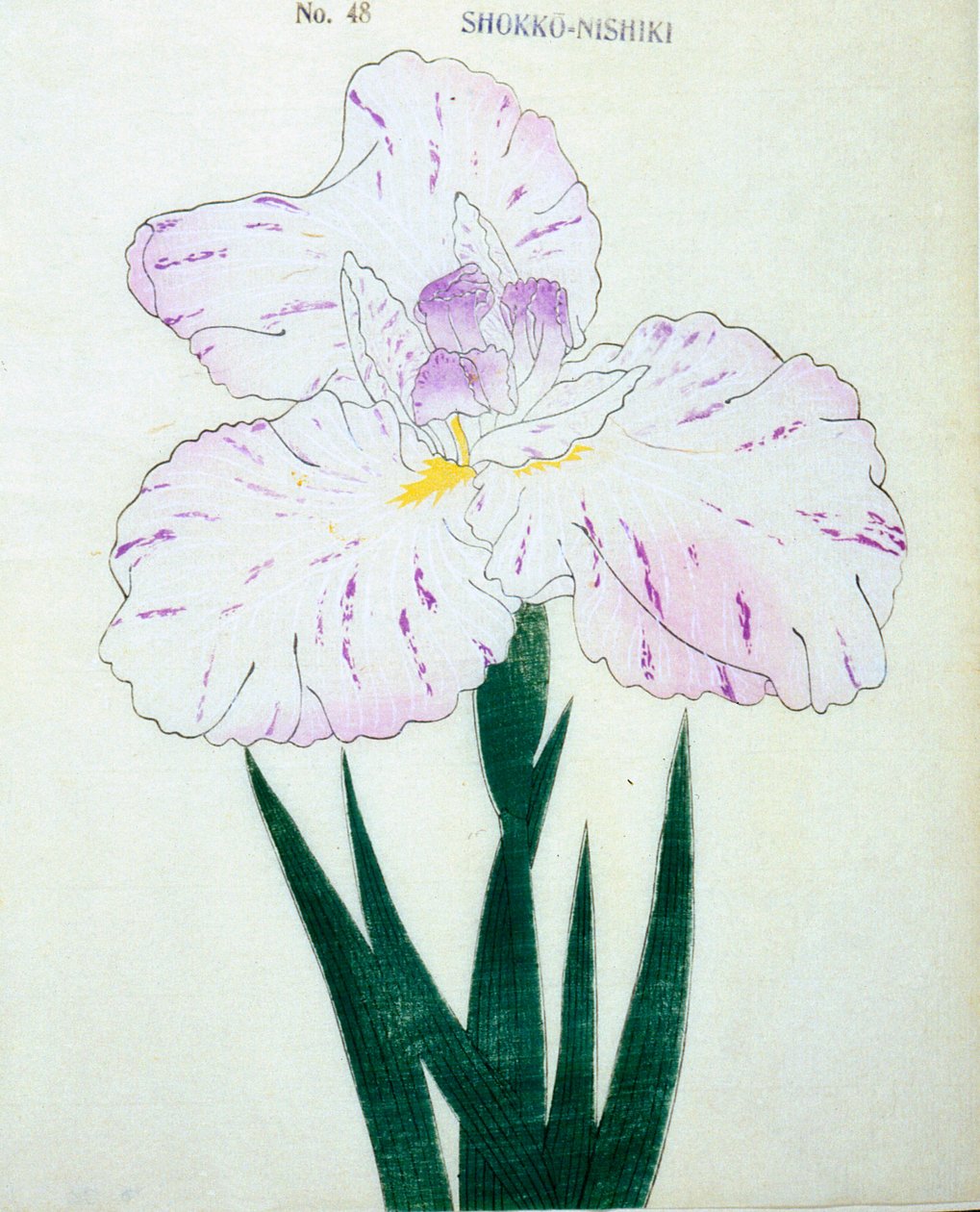 Shokko-Nishiki, no.48, 1898 - Japanese School