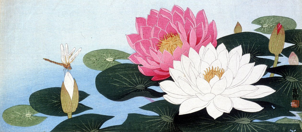 Nénuphars et libellule - Estampe japonaise - Japanese School